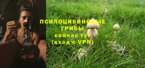 МДПВ Рославль