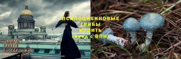 МДПВ Рославль