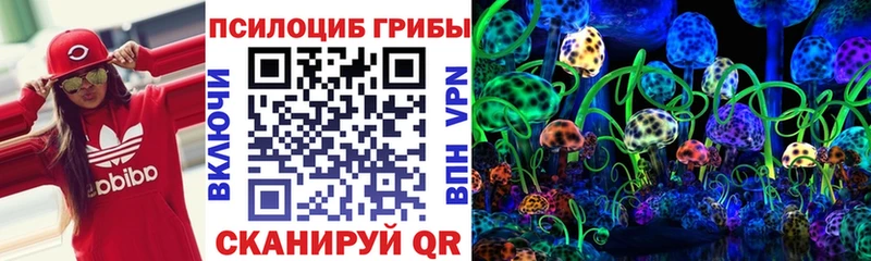 Купить  Миллерово  Галлюциногенные грибы прущие грибы 